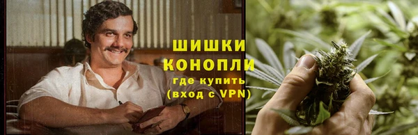 стафф Аркадак