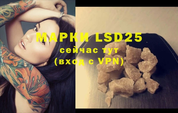 стафф Аркадак