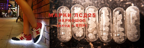 стафф Аркадак