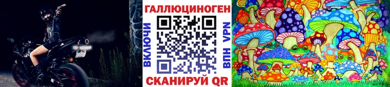 Псилоцибиновые грибы Psilocybine cubensis  Можга 